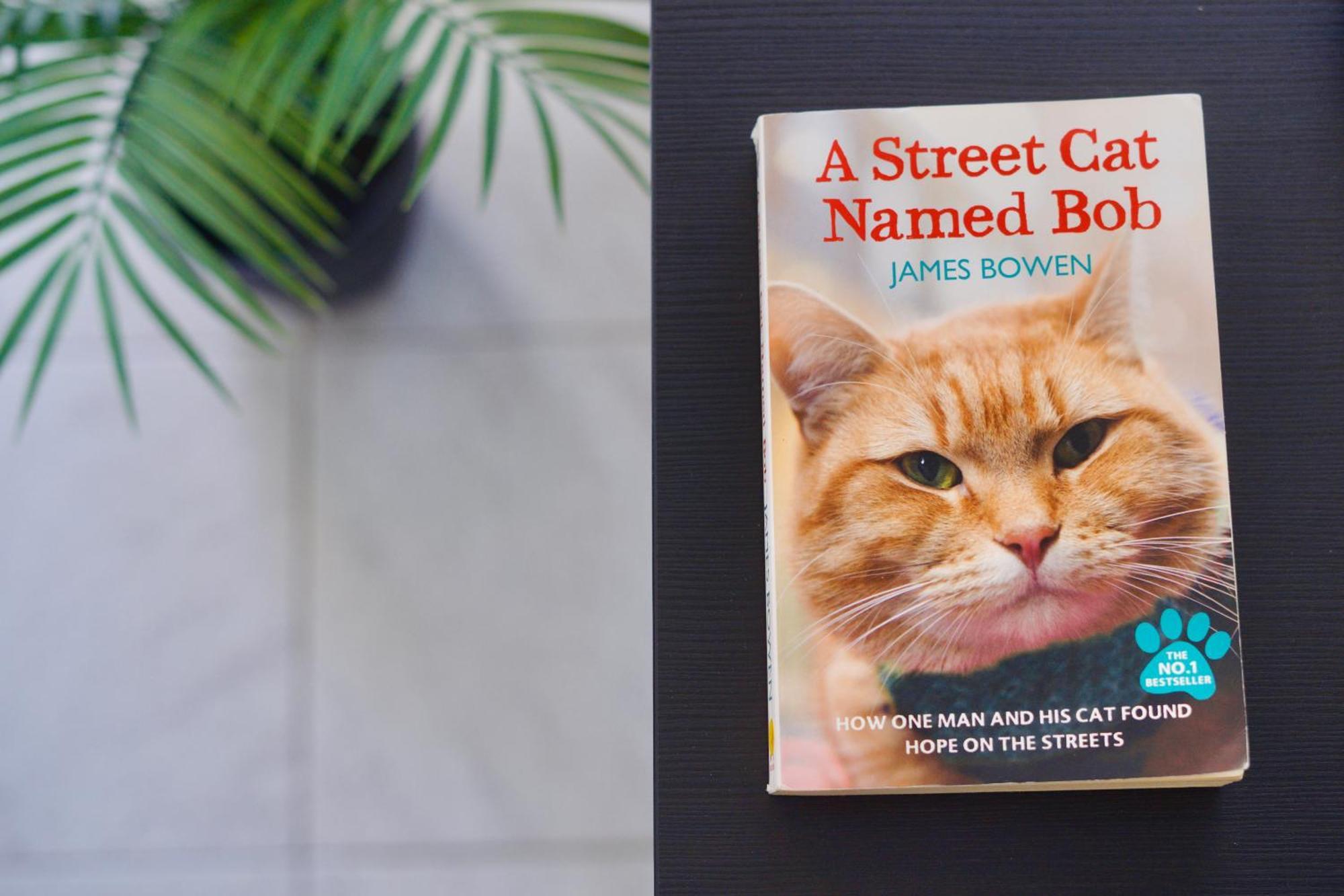 Apartamento El Gato Costa Del Silencio Luaran gambar