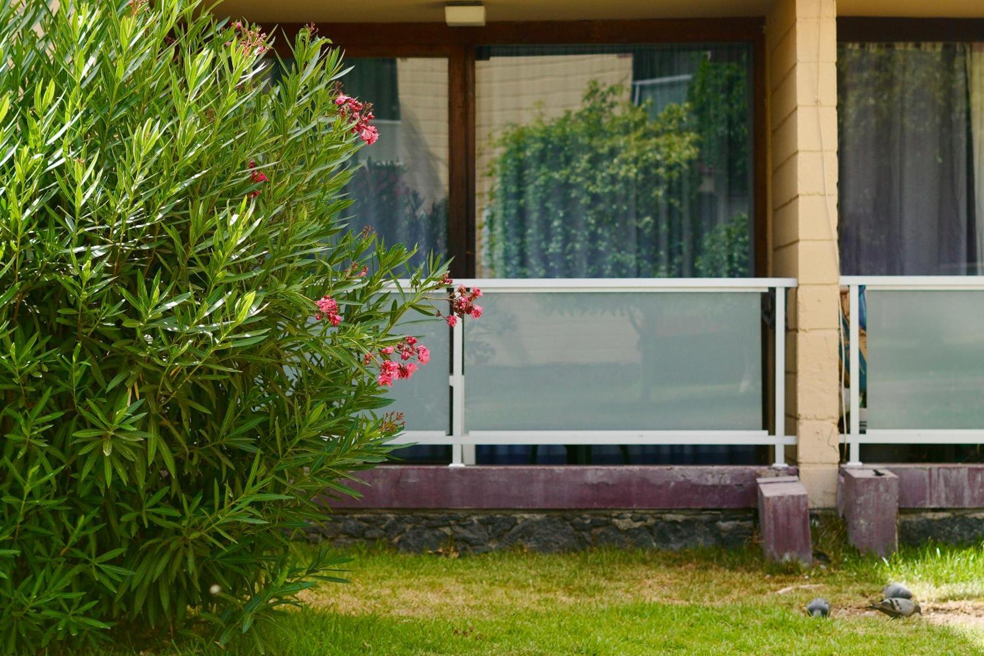 Apartamento El Gato Costa Del Silencio Luaran gambar